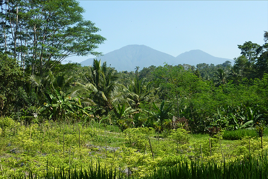 Batukaru Mountain 2-days-round-2