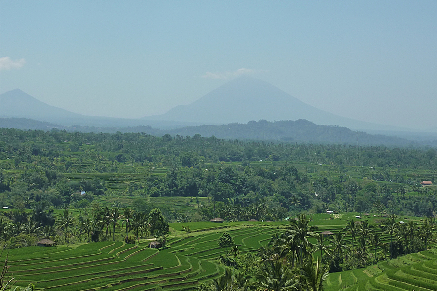 Jatiluwih 4-days-round-8