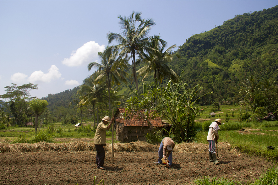 Country Side east-bali-4