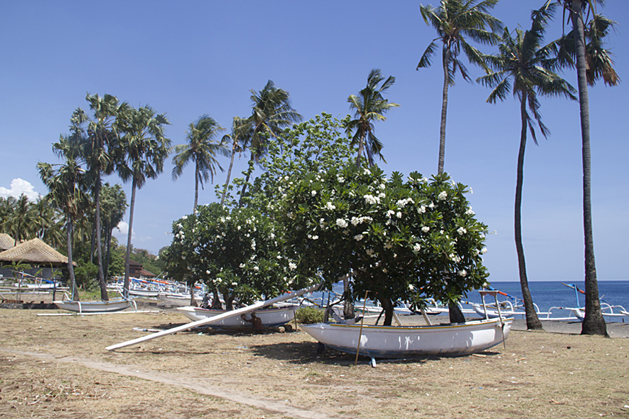 Fisher Boats Amed east-bali-6