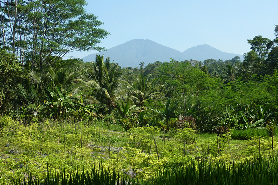 Batukaru Mountain west-bali-3
