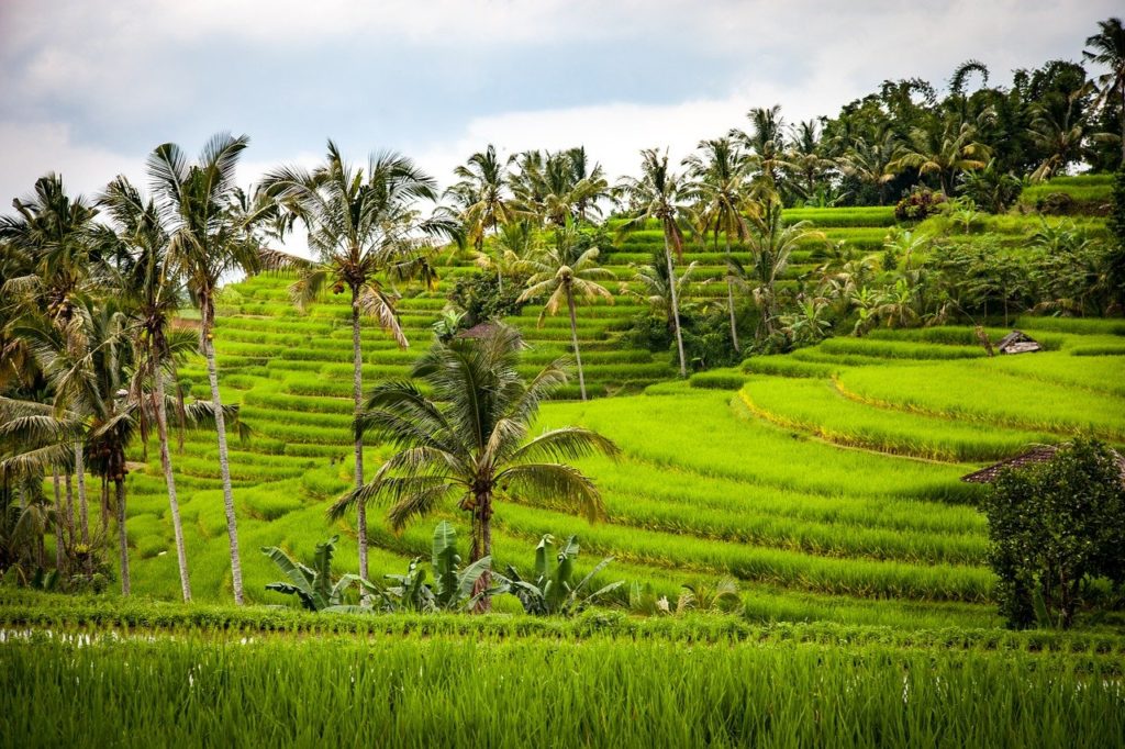 West Bali