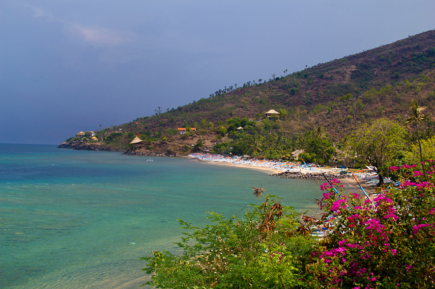 coast-of-Amed