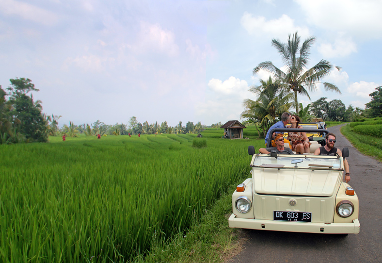 jeep-kiss-ricefield