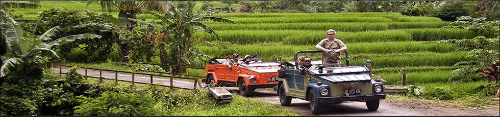 two jeeps